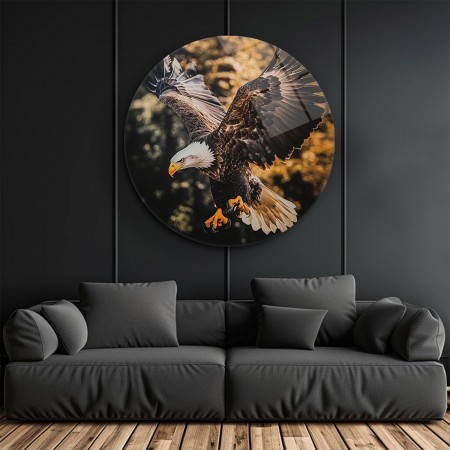 Kartal Fotoğrafı Cam Tablo