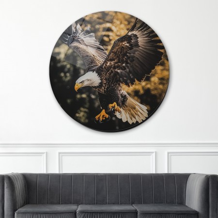 Kartal Fotoğrafı Cam Tablo
