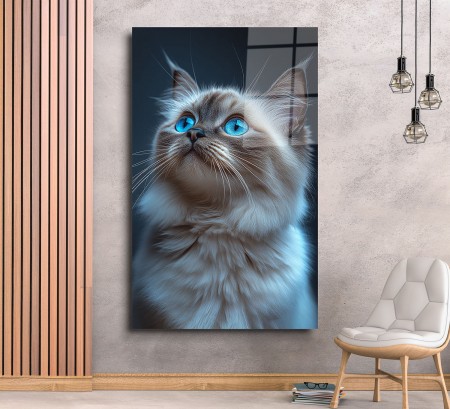 Mavi Gözlü Kedi Cam Tablo